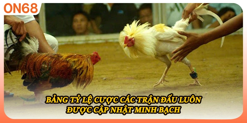 Bảng tỷ lệ cược các trận đấu luôn được cập nhật minh bạch