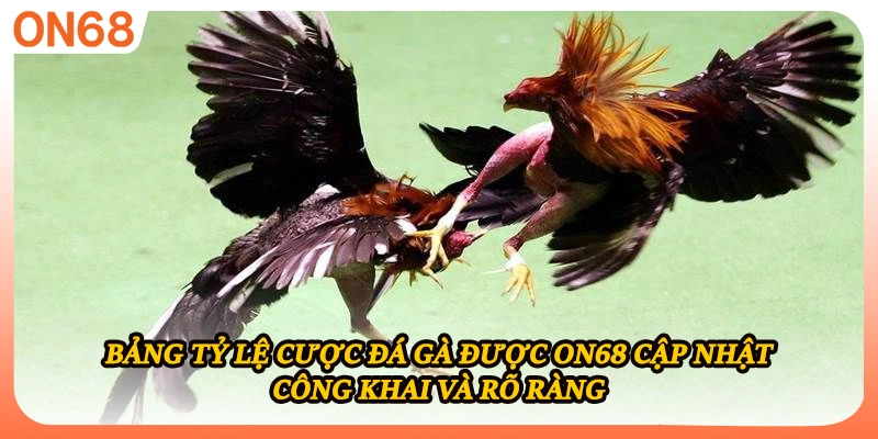 Bảng tỷ lệ cược đá gà được ON68 cập nhật công khai và rõ ràng
